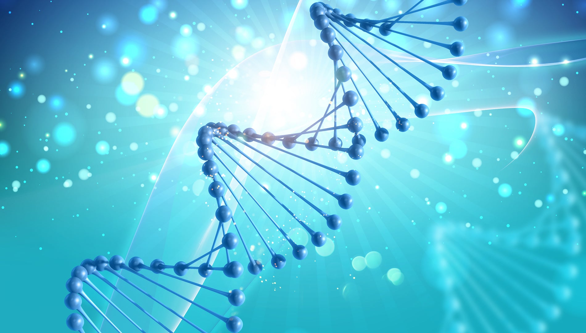 Image is showing Genetics