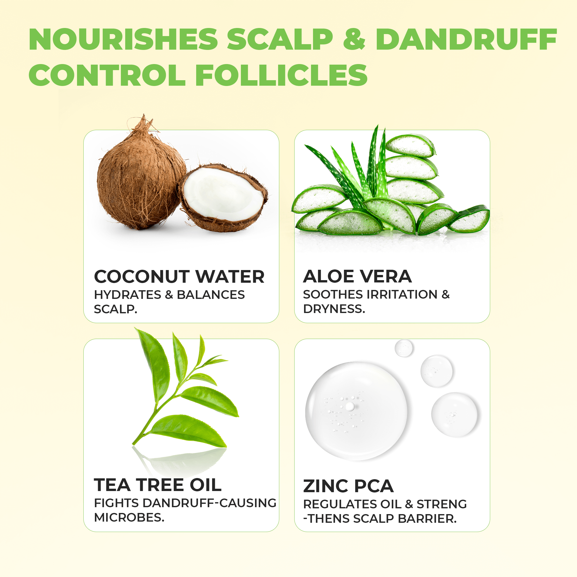 Shakuntala Hair Cleanser for Dandruff