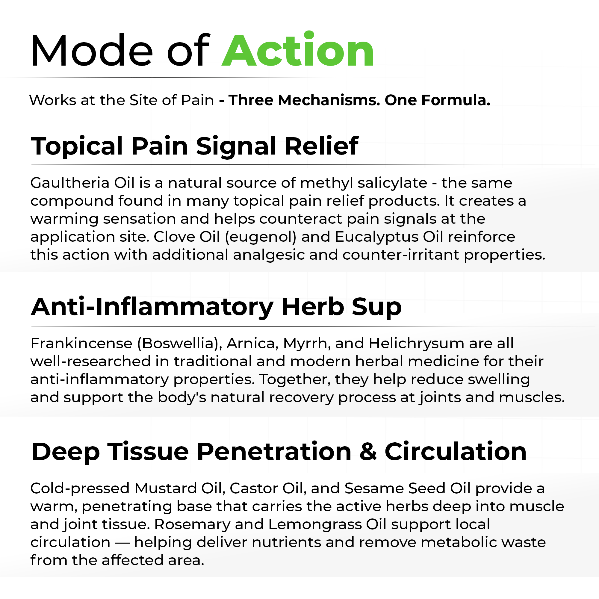 Ortho CP Pain Relief Oil For Nerves & Joints Pain