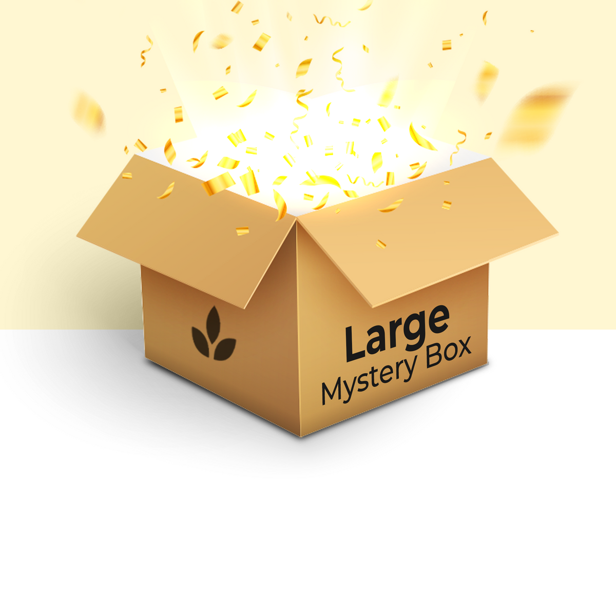Mystery Box Large (Products worth at least ₹950)
