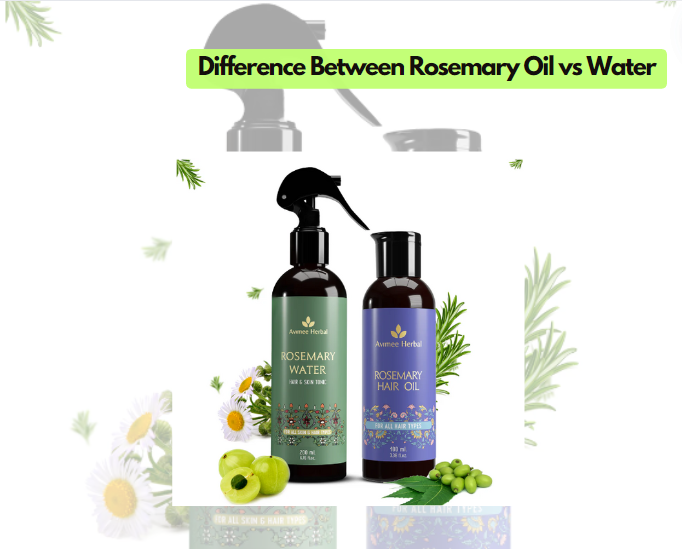 Rosemary Oil vs Rosemary Water: Understanding the Difference