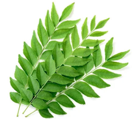 Curry leaves