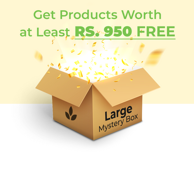 Mystery Box Large (Products worth at least ₹950)