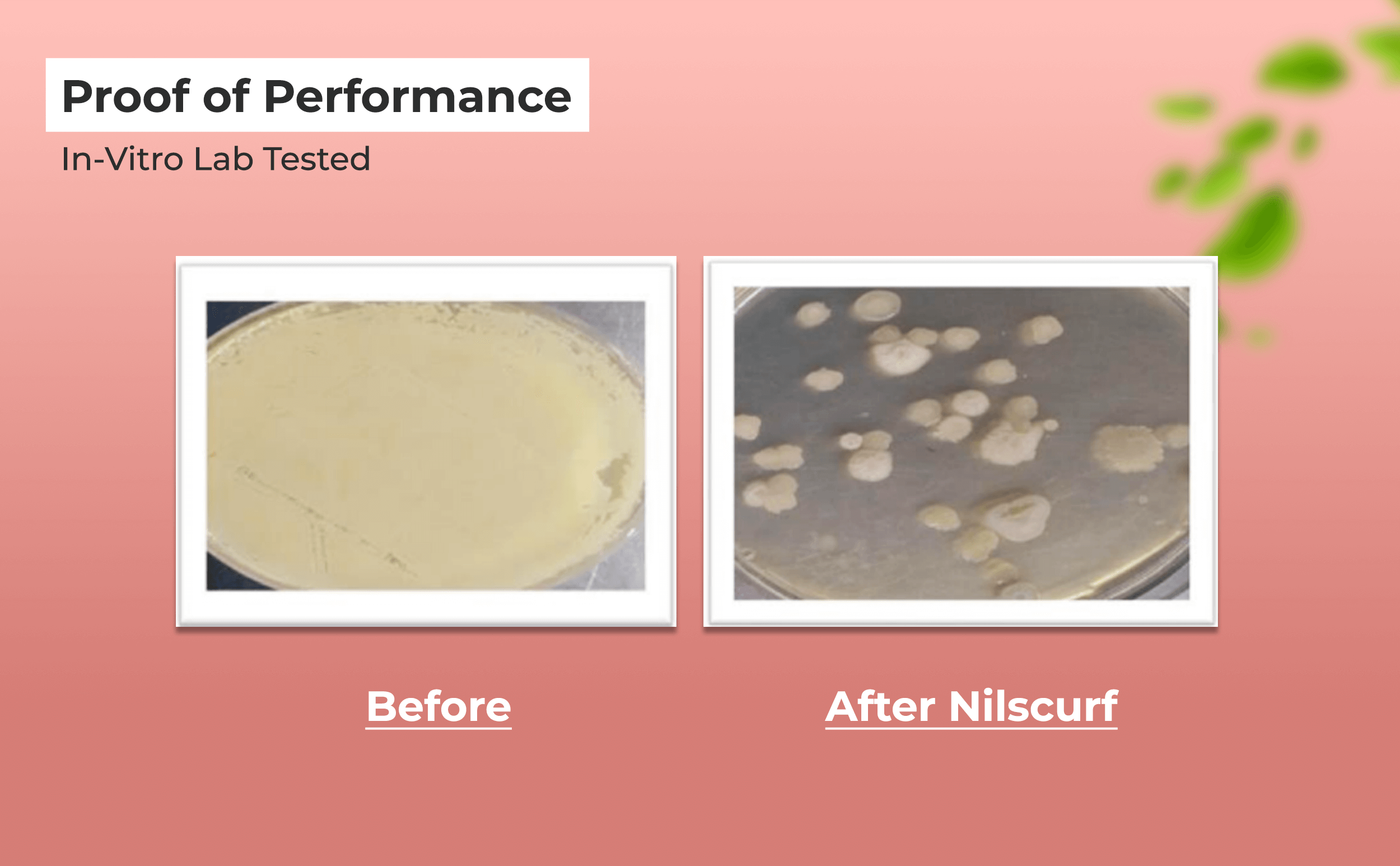 Scalptone Dandruff Serum