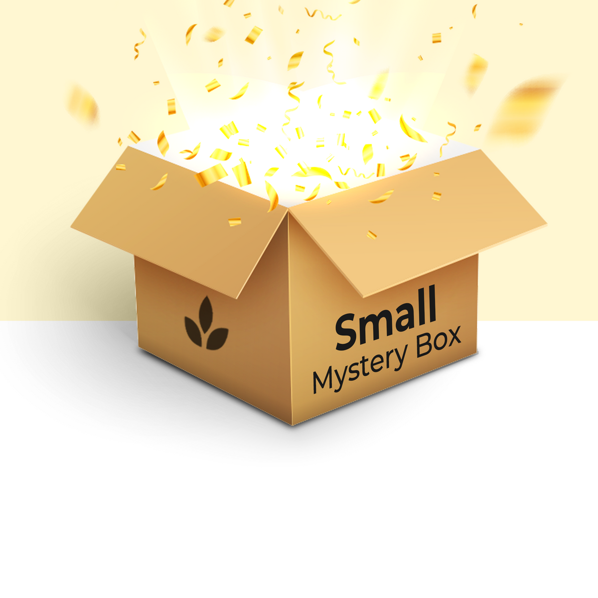 Mystery Box Small (Products worth at least ₹250)